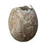 Image 1 : Land of the Lost (2009) - Sleestak Dinosaur Egg