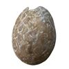 Image 2 : Land of the Lost (2009) - Sleestak Dinosaur Egg