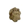 Image 3 : Star Wars - The Acolyte (2024) - Exploding Seed Pod
