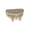 Image 1 : Dark Shadows (2012) - Barnabas (Johnny Depp) Teeth Appliance