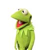 Image 2 : Kermit The Frog Hand Puppet - High End Replica