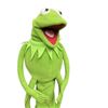 Image 3 : Kermit The Frog Hand Puppet - High End Replica