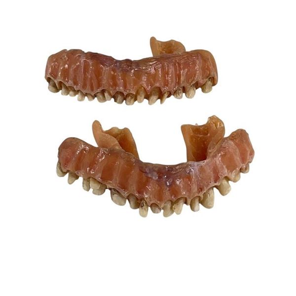 Smile (2022) - Set of Teeth - Version A