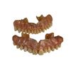 Image 1 : Smile (2022) - Set of Teeth - Version B