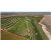 Image 2 : 167.4 +/- Acres of Kearny Co, KS Dryland