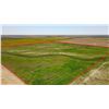 Image 3 : 167.4 +/- Acres of Kearny Co, KS Dryland