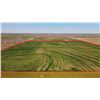 Image 5 : 167.4 +/- Acres of Kearny Co, KS Dryland