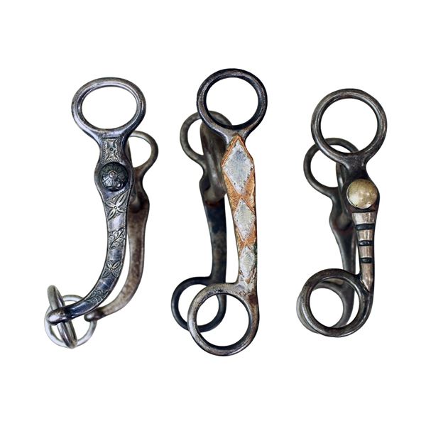 Grouping of Silver Grazing Bits