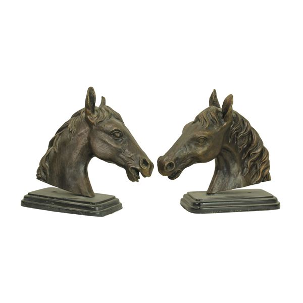 Bronze Bookends