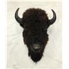 Image 2 : Buffalo Head Mount