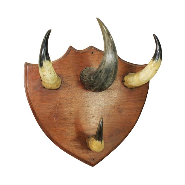 Buffalo Horn Hat Rack