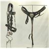 Image 2 : Porter Silver Bridle Set
