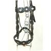Image 3 : Porter Silver Bridle Set