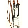 Image 3 : Leather Braided Bridle