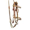 Image 1 : Horsehair Bridle