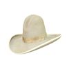 Image 1 : Stetson Hat