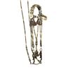 Image 1 : Rare Horsehair Bridle