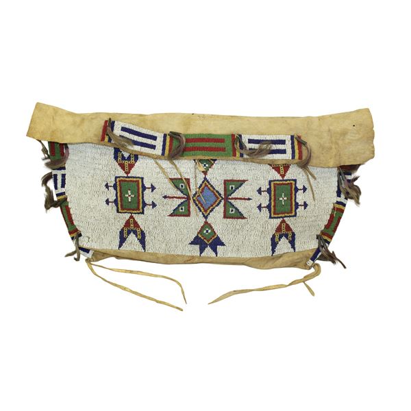 Beautiful Sioux Possible Bag