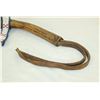 Image 3 : Northern Plains Antler Quirt