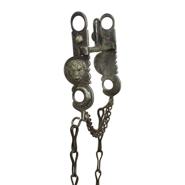 Terrific Buffalo Bit