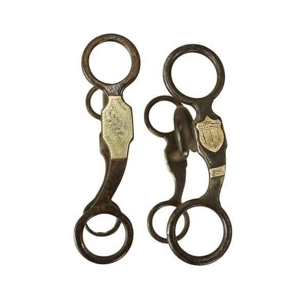 Grouping of Silver Grazing Bits