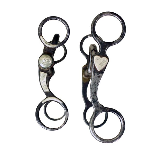 Grouping of Texas Grazing Bits