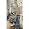Image 5 : BULLDOG ZY5050A HEAVY DUTY UPRIGHT BENCH DRILLING MACHINE