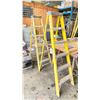 Image 1 : PAIR OF FIBERGLASS 6' LADDERS