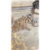 Image 6 : ASSORTED CHAINS & LIFTING CHAINS