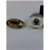 Image 2 : (3) Encapsulated Bug/Insect Paper Weights: Assorted