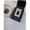Image 3 : (3) Encapsulated Bug/Insect Paper Weights: Assorted