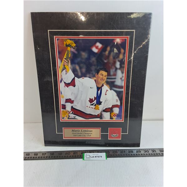 Mario Lemieux Gold Medal Champion Frameable Picture with Commemorative Pin & Plate - 12.5" x 16"