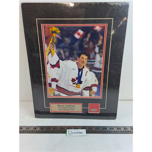 Mario Lemieux Gold Medal Champion Frameable Picture with Commemorative Pin & Plate - 12.5" x 16"