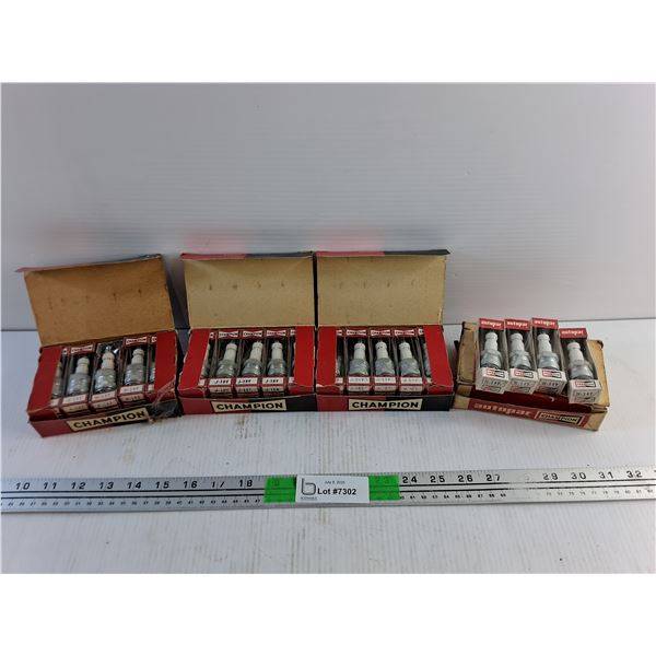 Champion Spark Plugs - J18Y and H14Y