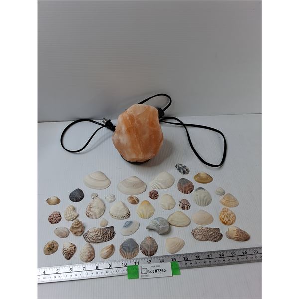 Salt Lamp, Assorted Shells - As Is