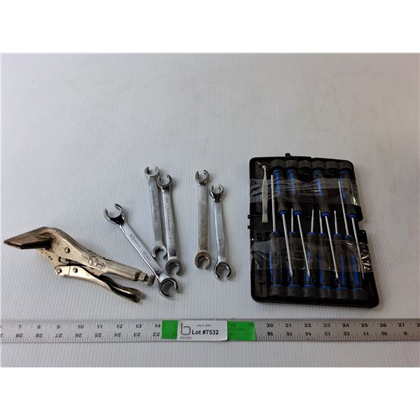 Vice Grip, Wrenches, Precision Drivers