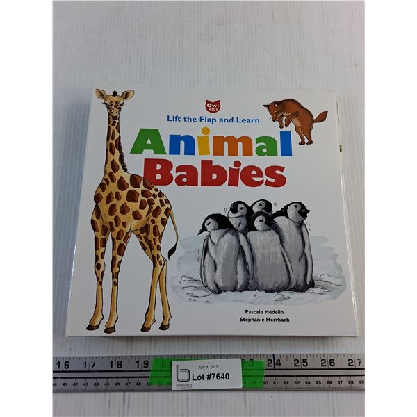 Lift the Flap and Learn Animal Babies Book