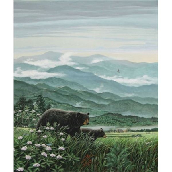 "Don Balke - Black Bear" Assort. Print Large 22''x28''