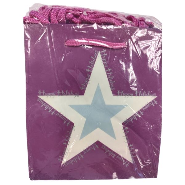 SET OF 12 HOLIDAY GIFT BAGS - LOT VALUE $23.88