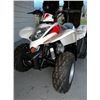 Image 2 : BRAND NEW ATV X 4 WHEELER ARGO XPLORER XC 90