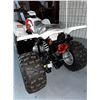 Image 3 : BRAND NEW ATV X 4 WHEELER ARGO XPLORER XC 90