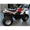 Image 4 : BRAND NEW ATV X 4 WHEELER ARGO XPLORER XC 90