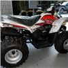 Image 7 : BRAND NEW ATV X 4 WHEELER ARGO XPLORER XC 90