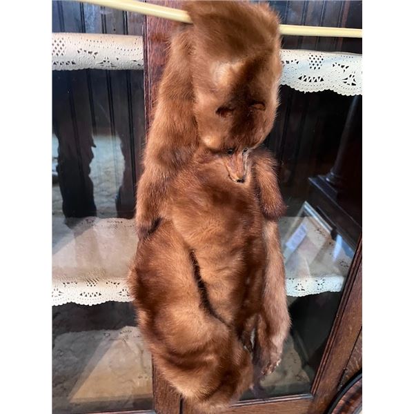 ANTIQUE MINK ITEM