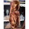 Image 1 : ANTIQUE MINK ITEM