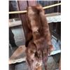 Image 2 : ANTIQUE MINK ITEM