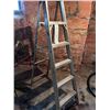 Image 1 : WERNER ALUMINUM LADDER 6FT