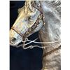 Image 5 : OLD JACK   745/750 (STONEWALL JACKSON )