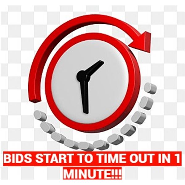 LAST CALL !!! BIDS START CLOSING OUT IN 1 MINUTE, EVERY 1 MINUTE!