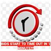 Image 1 : LAST CALL !!! BIDS START CLOSING OUT IN 1 MINUTE, EVERY 1 MINUTE!